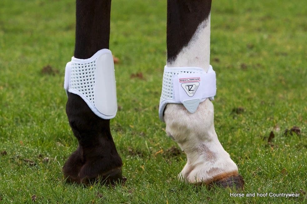 Equilibrium TriZone Fetlock Boot horse and hoof