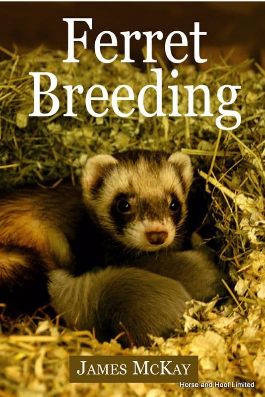 Ferret Breeding-  James McKay