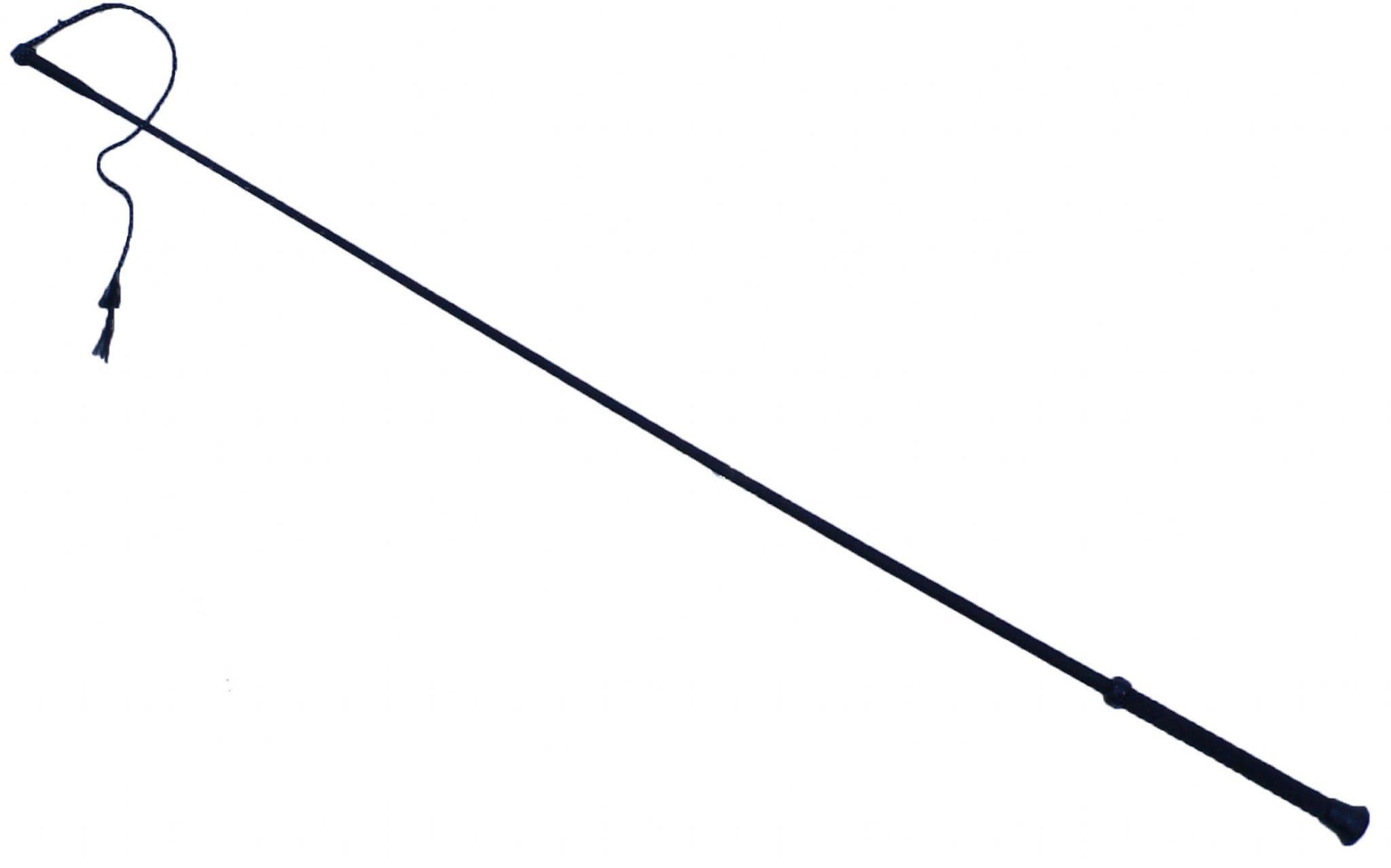 Gallop Schooling Whip horse and hoof