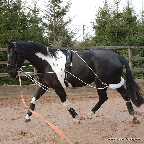 GFS Training Aid