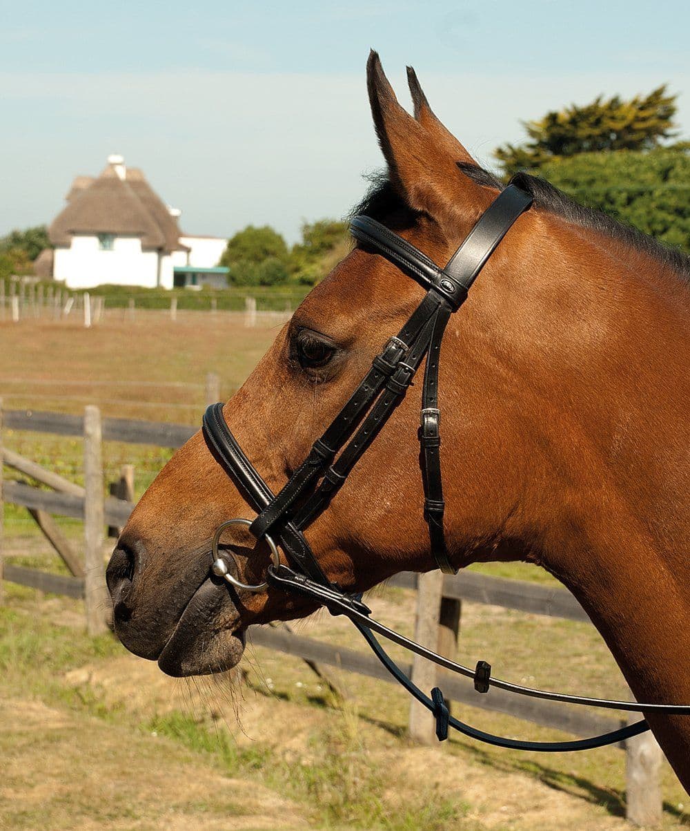 Heritage English Leather Bridle With Raised Cavesson Noseband horse