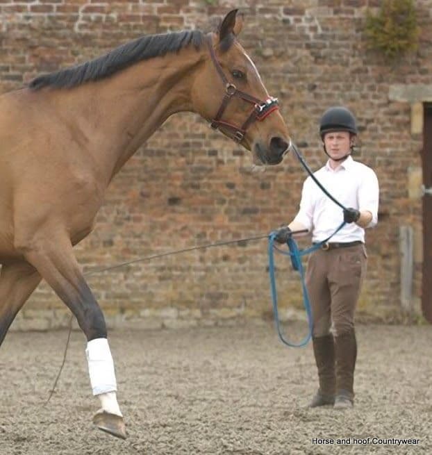 Hy Soft Webbing Lunge Rein