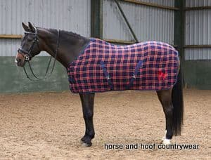 John Whitaker Checked Horse Rug