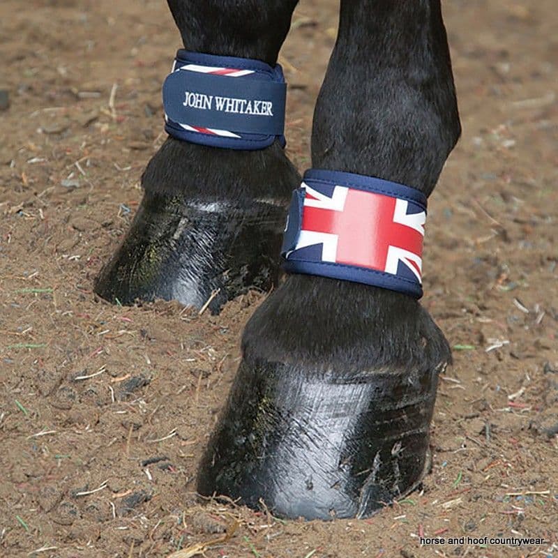 John Whitaker Neoprene Leg Bands