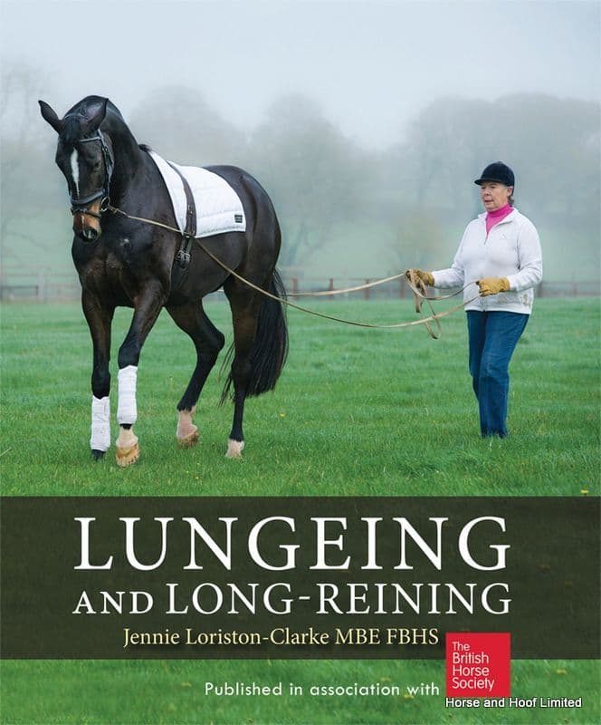 Lungeing And Long - Reining - Jennie Loriston - Clarke