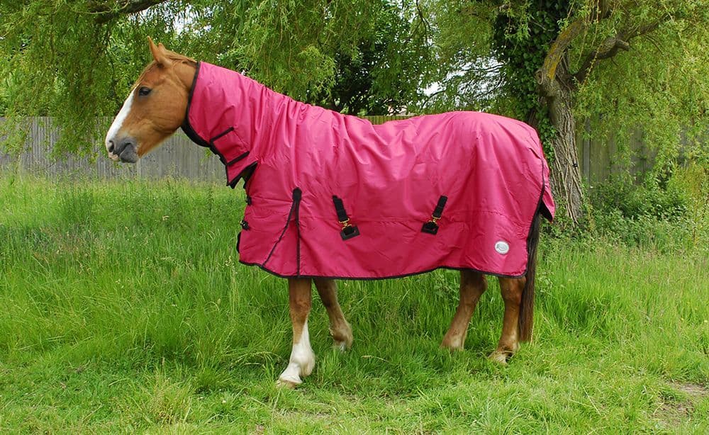 Rhinegold Full Neck Konig Outdoor Rug horse and hoof