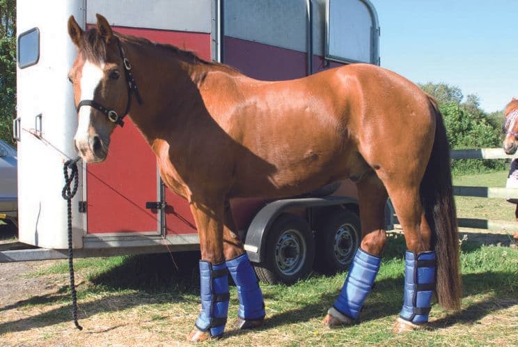 Rhinegold sales travel boots