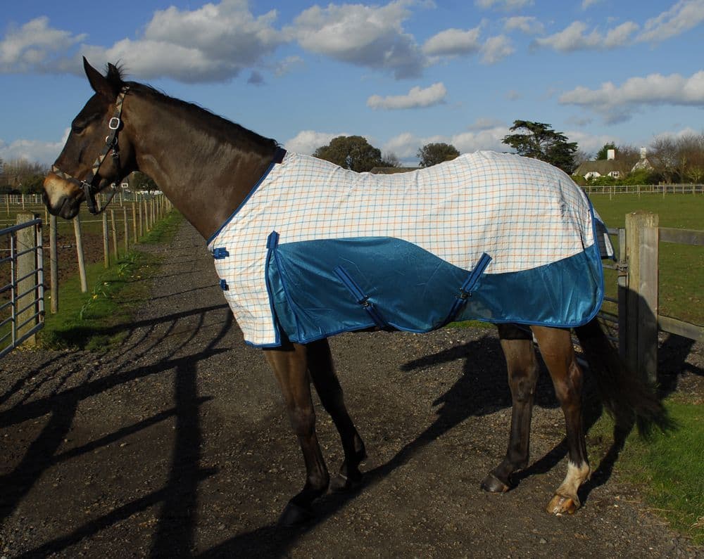 Rhinegold Helena Air Summer Sheet horse and hoof