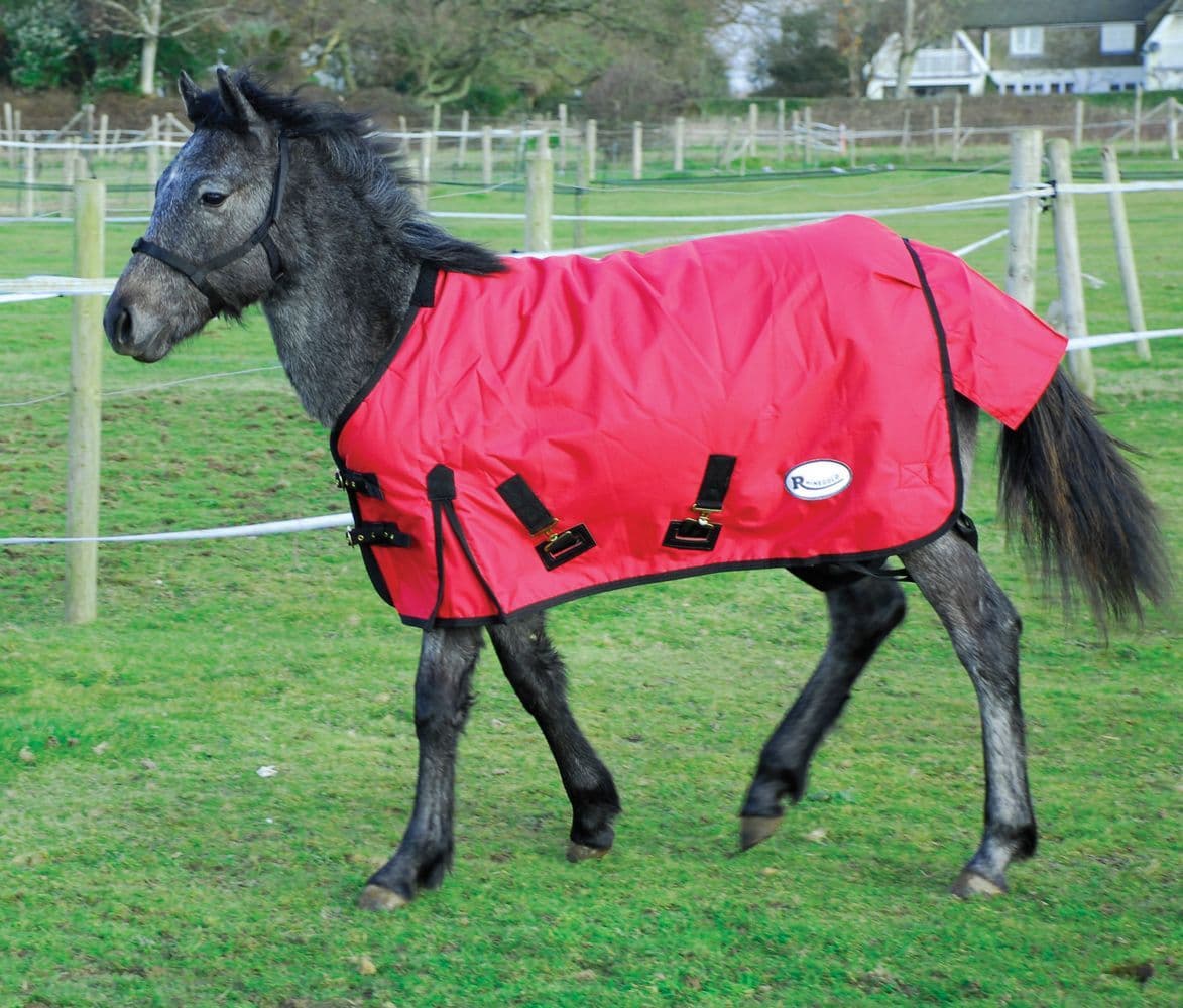 Rhinegold Konig Small Pony/Foal Outdoor Rug horse and hoof