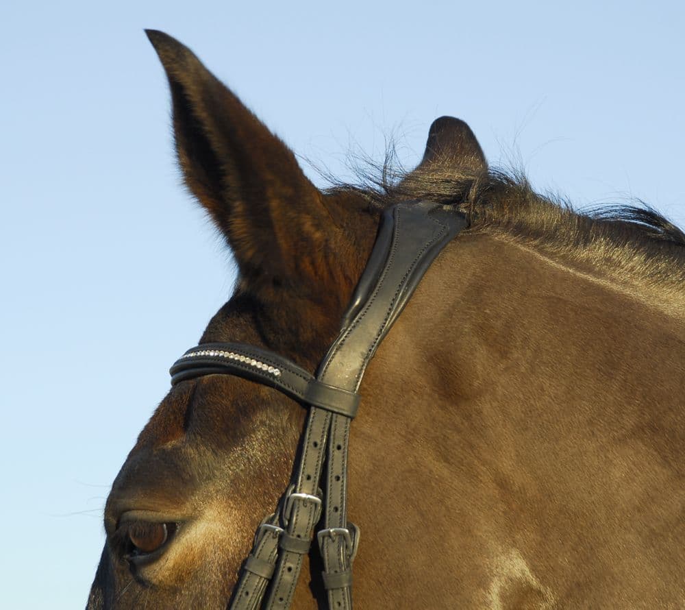 Testiera Per Cavallo Hunter In Pelle Sheldon | Briglia COMPLETA MARRONE/AVANA, Taglia Grande