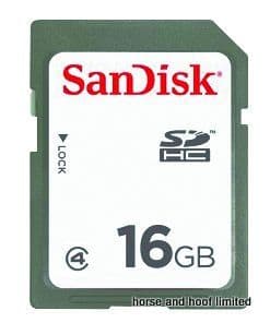 SanDisk 16GB SD Card
