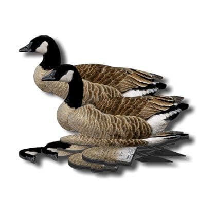 NRA Lesser Canada Geese Decoy