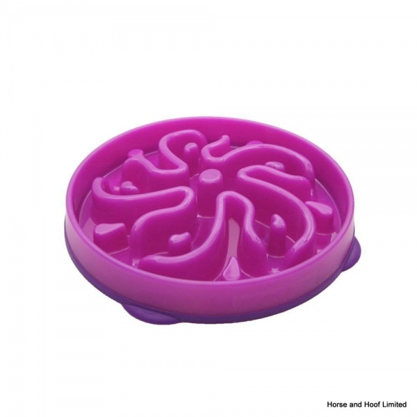 Outward Hound Slow Feeder Bowl Flower Purple horse and hoof