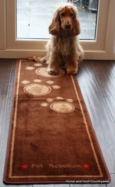 Pet rebellion on sale runner