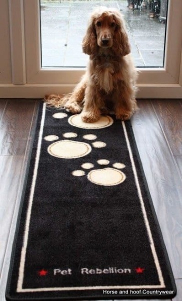 Pet rebellion runner deals
