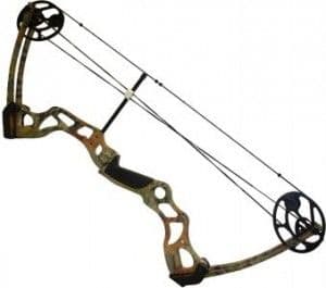 Petron Stealth Hunter Compound Bow Kit