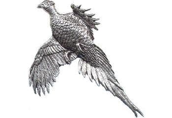 Pewter Pheasant Badge