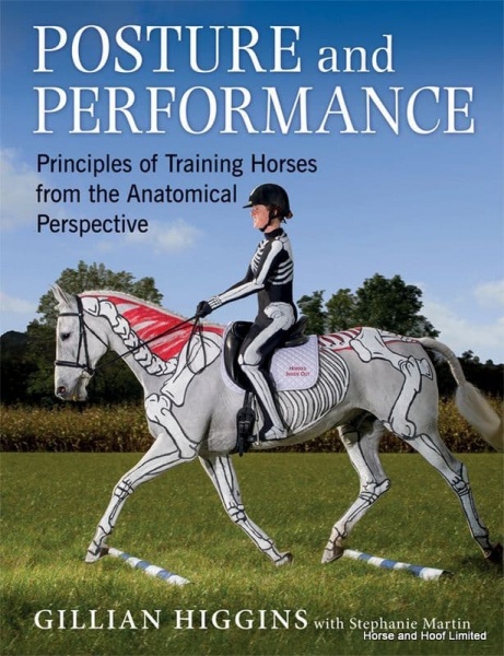 Posture And Performance - Gillian Higgins