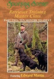 Retriever Training Master Class - Part 2 Ten Months to Adult