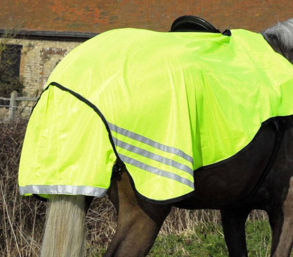 Rhinegold 3/4 RideOn Rug horse and hoof