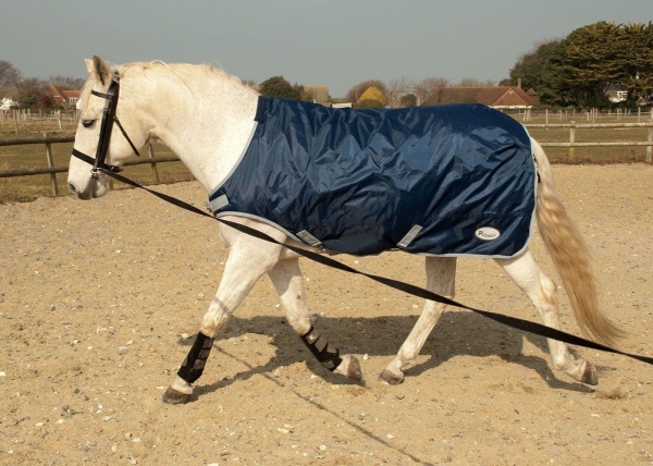 Rhinegold Horse Walker/Lunge Rug