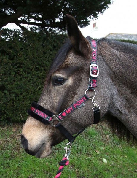 Rhinegold Love My Pony Headcollar & Rope Set