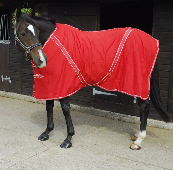 Rhinegold Helena Air Summer Sheet horse and hoof