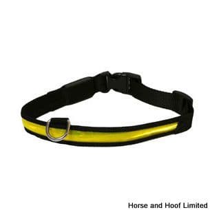 Flashing led dog clearance collar