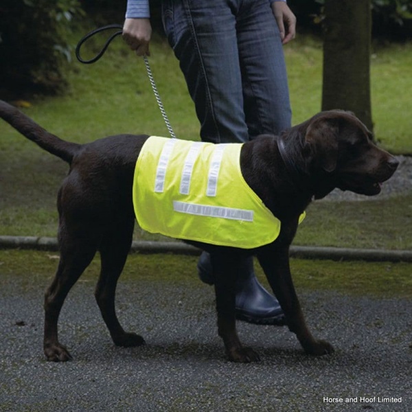 Rosewood Pet Reflective Dog Coat - Yellow