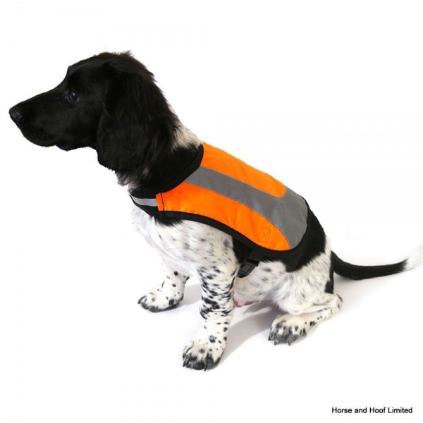 Rosewood Dog Coats horse and hoof