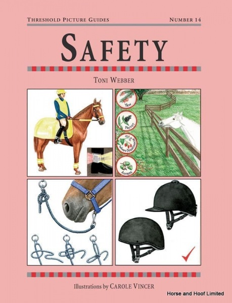 Safety - Toni Webber