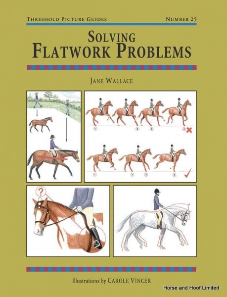Solving Flatwork Problems - Jane Wallace