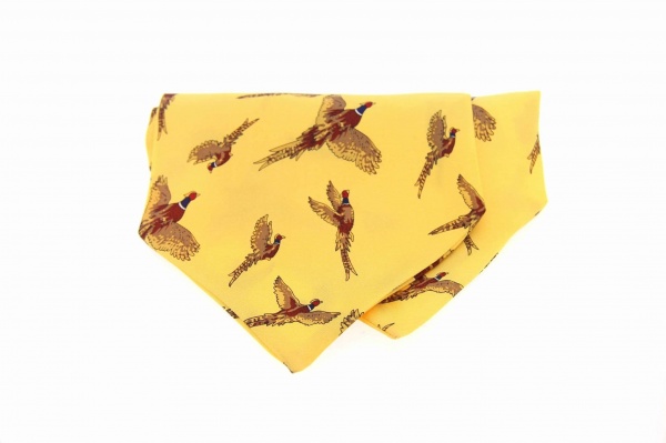 Soprano Pheasant Gold Silk Country Cravat