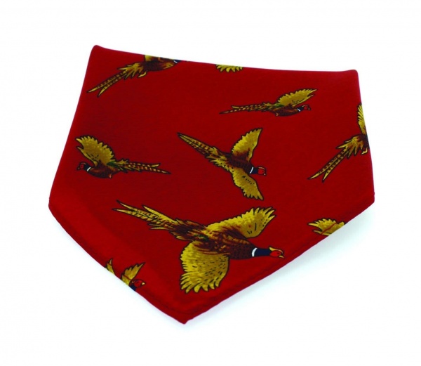 Soprano Pheasant Silk Twill Pocket Country Handkerchief - Red
