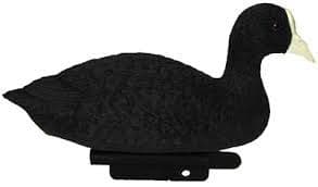 Coot decoys deals