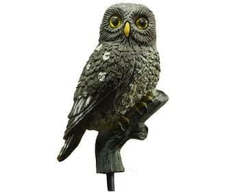 Sport Plast Little Owl