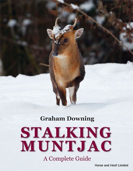 Stalking Muntjac- Graham Downing