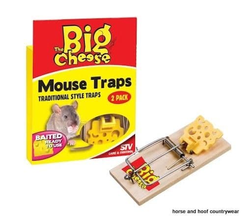STV International Baited Mouse Traps