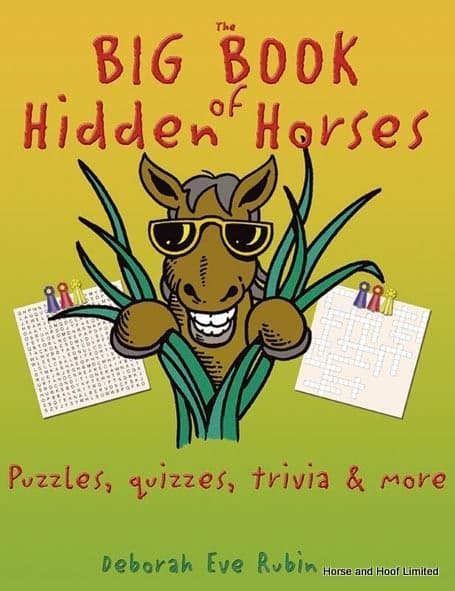 The Big Book Of Hidden Horses - Deborah Eve Rubin