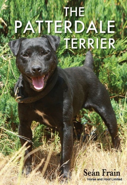 The Patterdale Terrier- Sean Frain