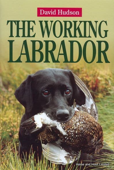 The Working Labrador - David Hudson