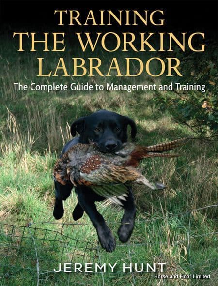 Training The Working Labrador - Jeremy Hunt