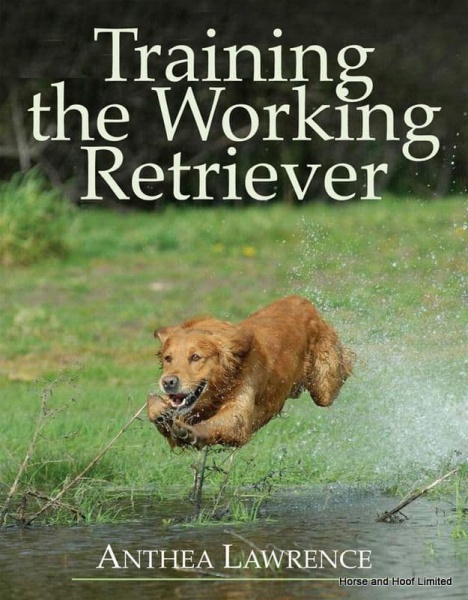 Training The Working Retriever- Anthea Lawrence