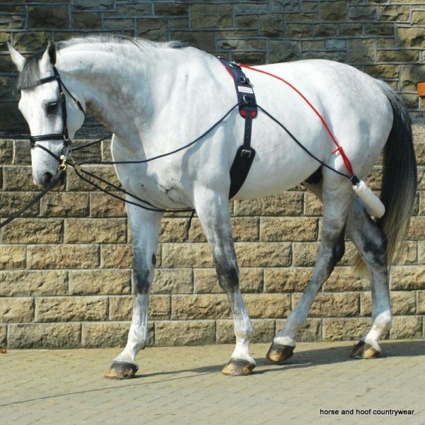 Whitaker Training System