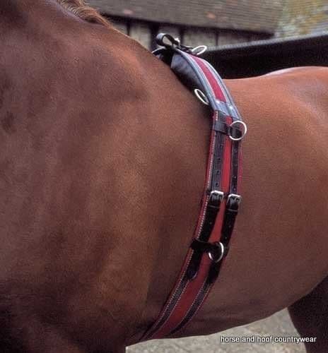 Windsor 4'' Lunging Roller